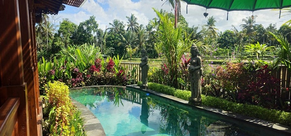 pool view